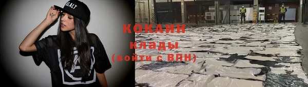 прущие грибы Баксан