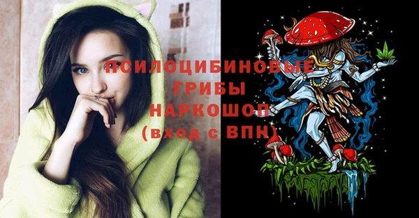 винт Богородицк
