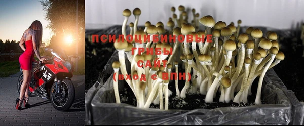 дурь Балахна